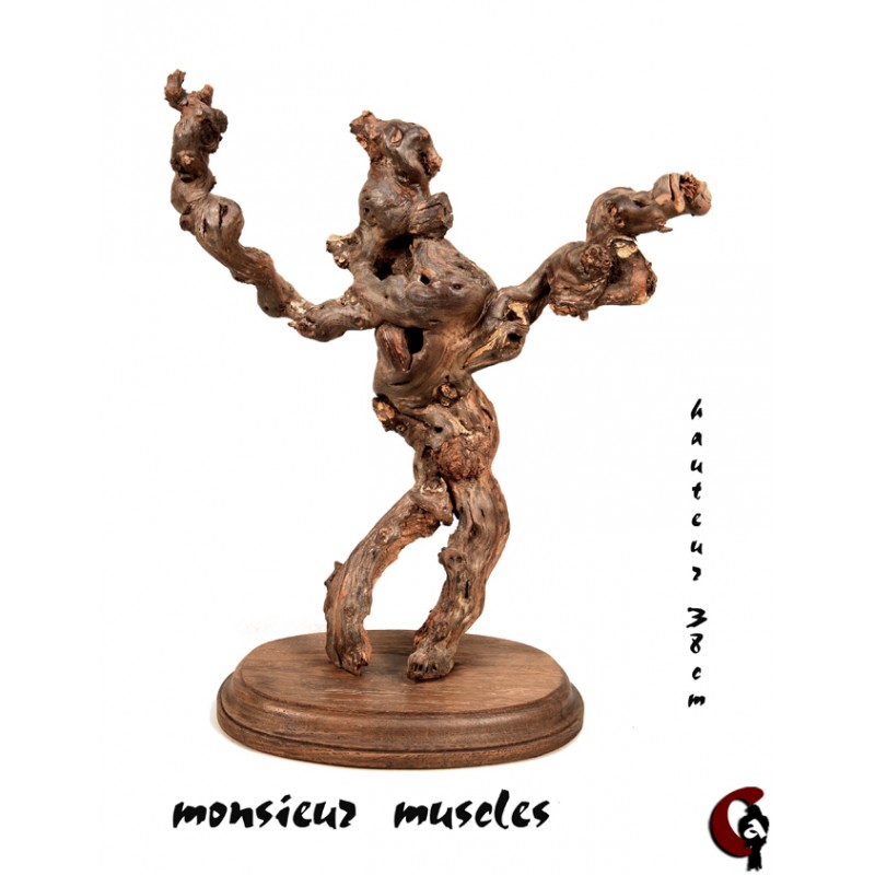 Monsieur muscles