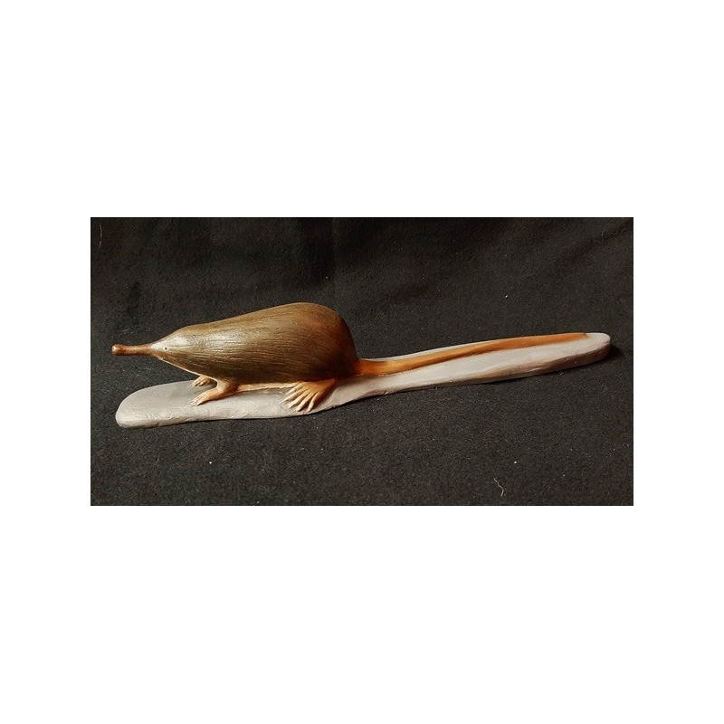 Desman des Pyrénées