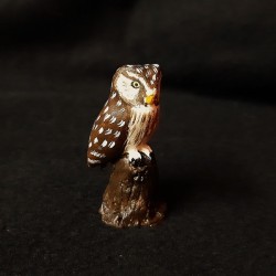 Chouette de Tengmalm