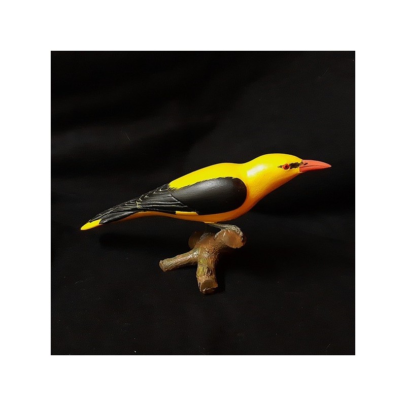 Loriot d'Europe mâle