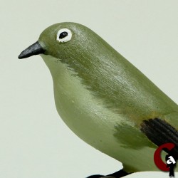 Oiseau-lunettes vert