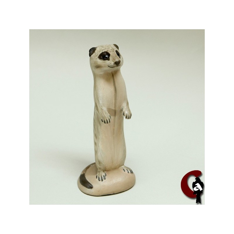 Suricate