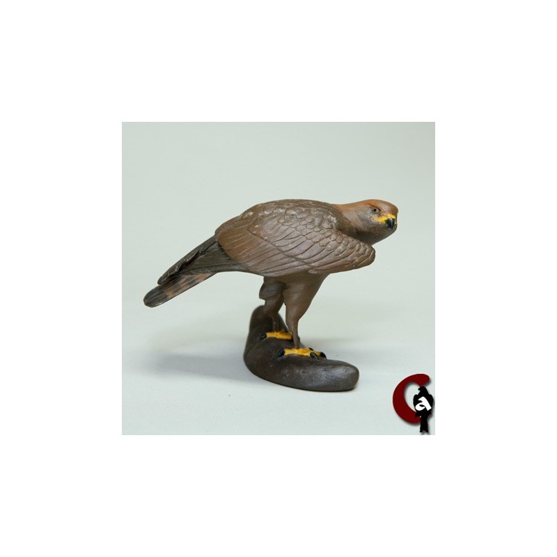 Aigle royal