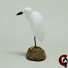 Aigrette garzette