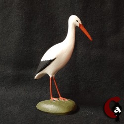 Cigogne blanche