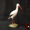 Cigogne blanche