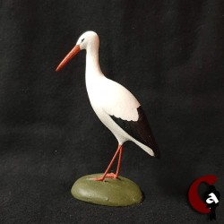 Cigogne blanche