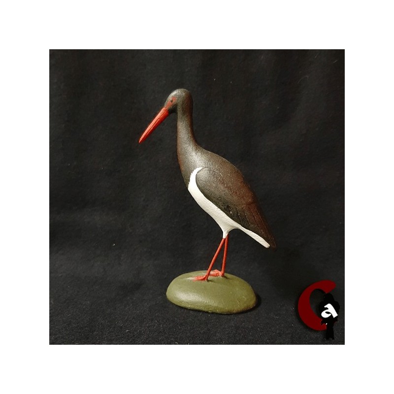 Cigogne noire
