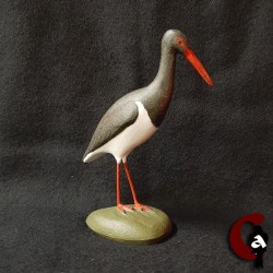 Cigogne noire