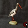 Cigogne noire