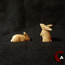 Lapin de garenne