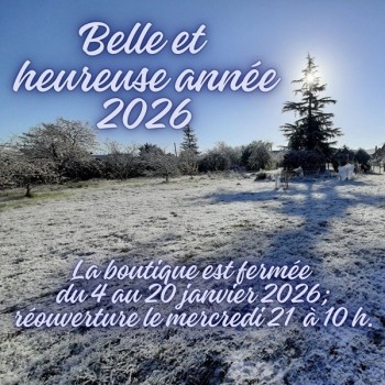 category_3.jpg?time=1767093479